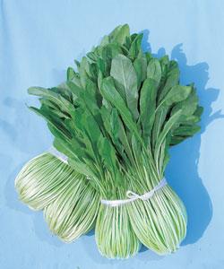 ���ӡʥ��������ġ�