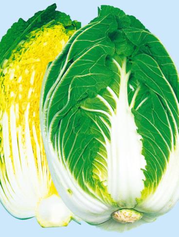 �����ѡ��ãҿ����ۡ��������Ӽҡˡ�