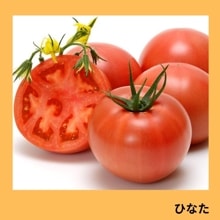 �Ҥʤ��ʥ��������ߤ��ɡ�