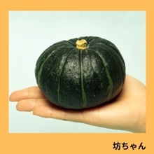 ˷�����ʥ��������ߤ��ɡ�