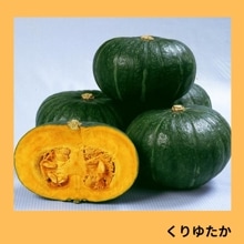 ����椿���ʥ��������ߤ��ɡ�