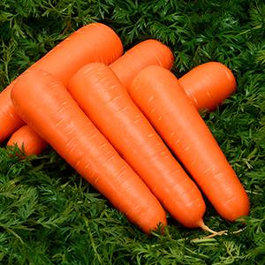 ���륶�ʥ��������ߤ��ɡ�