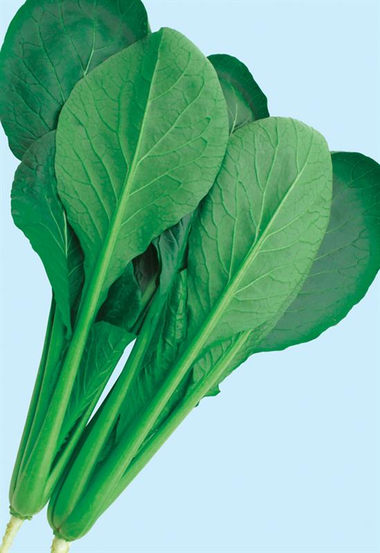 ���ͤ�����������Ӽҡˡ�