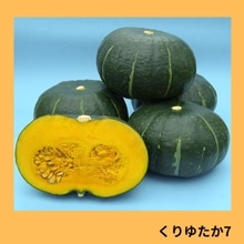 ����椿�����ʥ��������ߤ��ɡ�