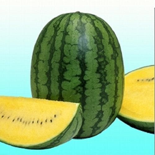 ������ɥޥ����ܡ���ʥ��������ߤ��ɡ�