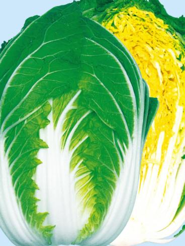 ��ʡ�������������Ӽҡˡ�