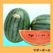�ޥ����ܡ���ʥ��������ߤ��ɡ�