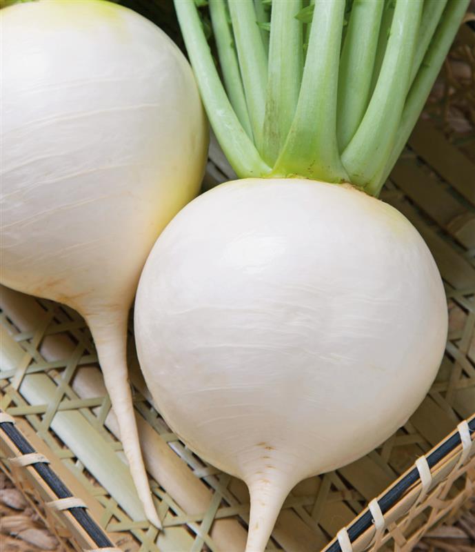 ʥġ