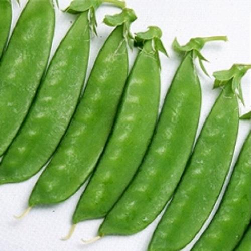 �˥���ֲ֤��̤��䣲��ʥ��������ߤ��ɡ�