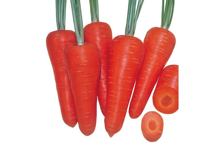 ���Ϥ޸����ʲ��Ϳ��ڡ�