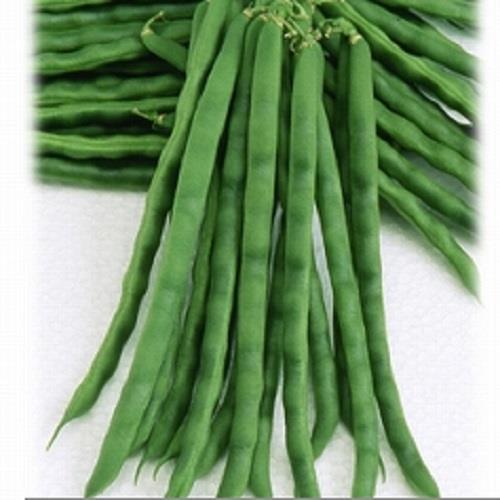 ����꡼��ʥ��������ߤ��ɡ�