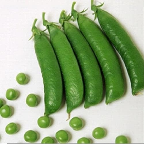 �����ѡ����꡼��ʥ��������ߤ��ɡ�