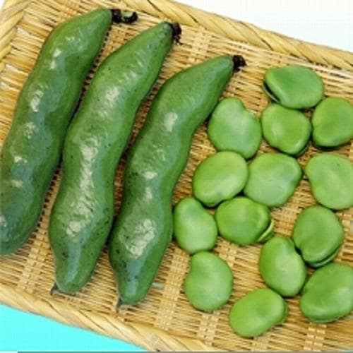 �����������ʥ��������ߤ��ɡ�