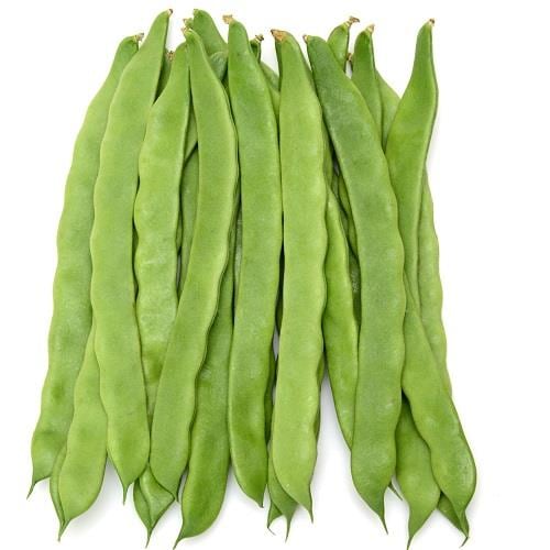 �˥塼�ӥå��ꥸ���ܡʥ��������ߤ��ɡ�