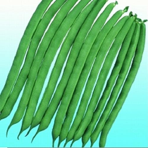 �����ѡ����ƥ��䡼�ʥ��������ߤ��ɡ�