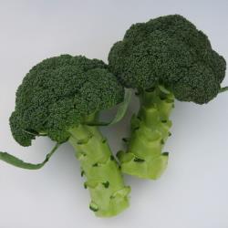 ������٥������������