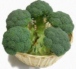 �٥�ե�����Q������������