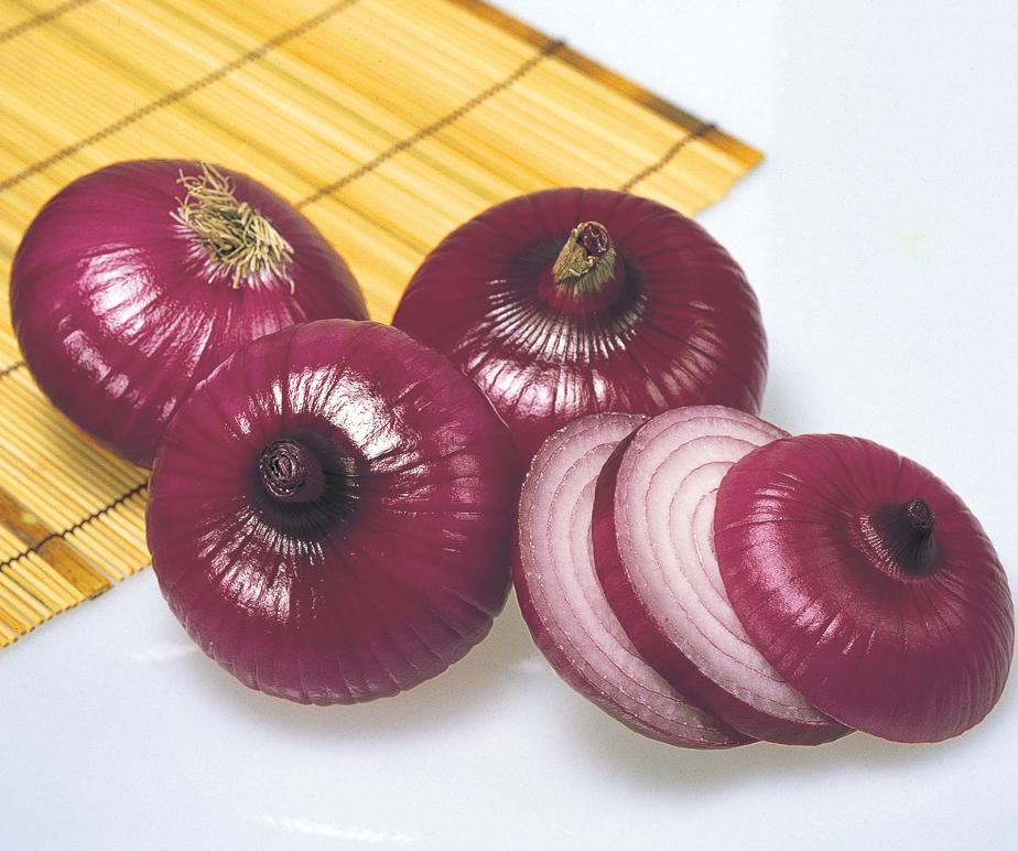 湘南レッド（サカタのタネ）＊ | 野菜の種,根菜,タマネギ | アグリブック