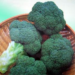 �Ρ����٥������������