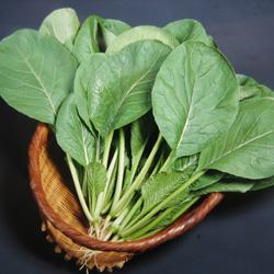 ���Ĥ���������������