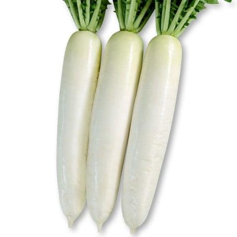 դʤʴݼˡ