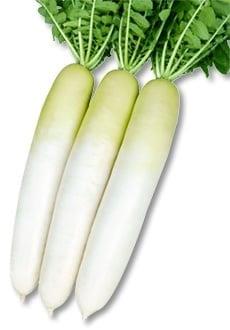 դʤǡʴݼ