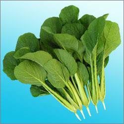 �İ�Ϻ(������������)������������