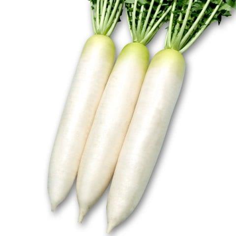 դҤӤʴݼˡ