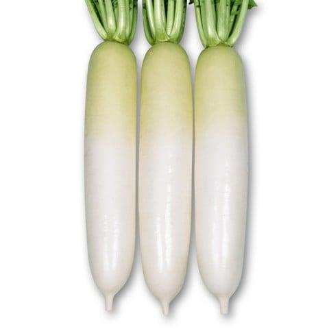 ٣ҲƤʤǡʴݼˡ