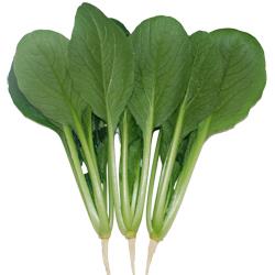 ��ơʤ��󤫡ˡ�����������