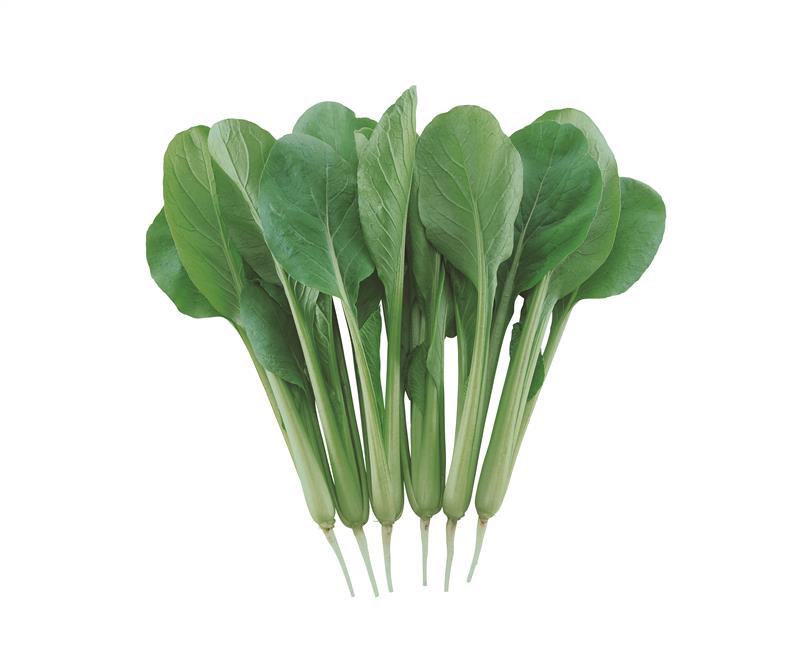 Τ����������¢����ı��