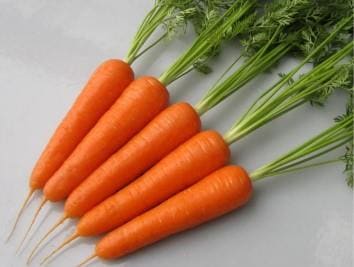 紅ひなた（住化農業資材） | 野菜の種,根菜,ニンジン | アグリブック