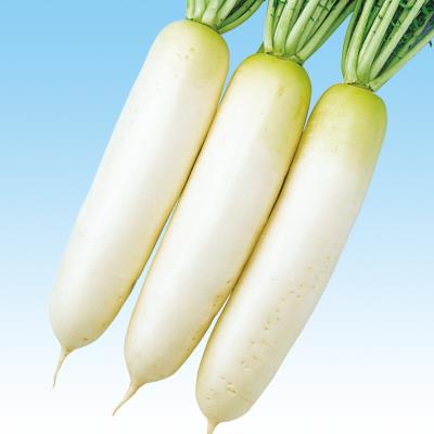 դŤޤ渶μ