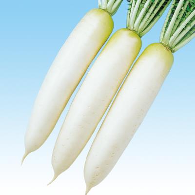 ĹդŤޤ渶μ