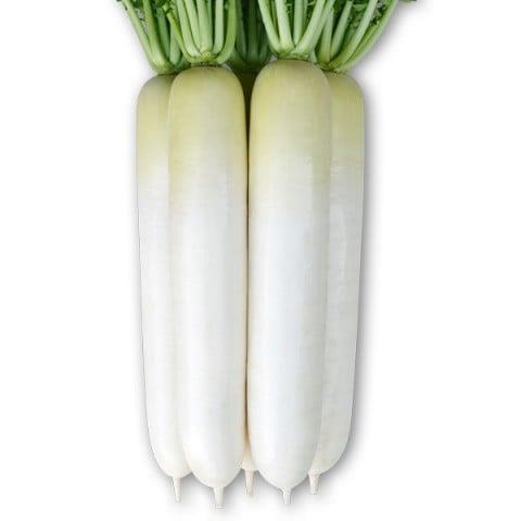 ٣ҽʤʴݼˡ