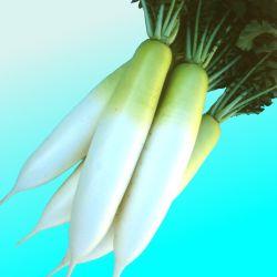 ٣Ҳ̨