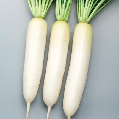 դޤ渶μ
