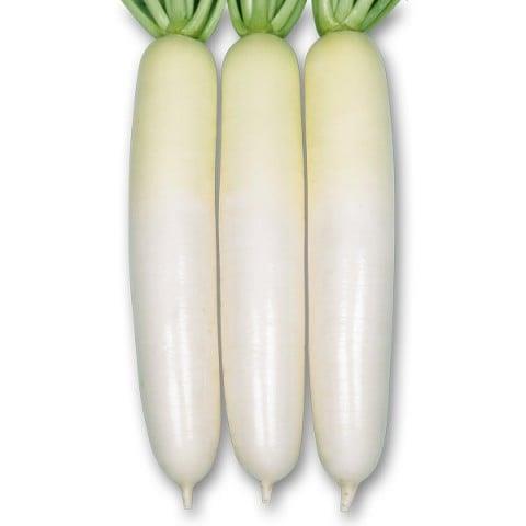 ʤǡʴݼˡ