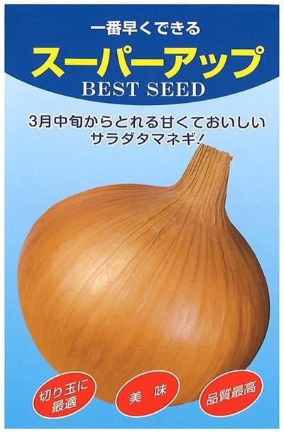 スーパーアップ（アカヲ種苗） | 野菜の種,根菜,タマネギ | アグリブック