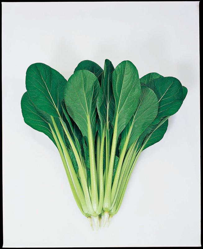 �ޤ��ߡʥȡ��ۥ���