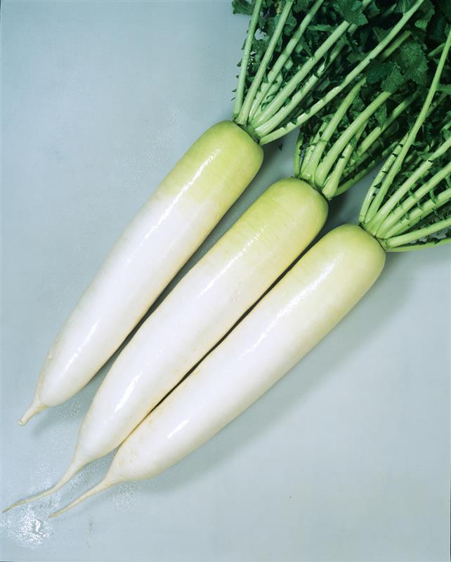 աʥͥġ