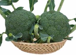 ��ߥʥ��ʥ֥��꡼�ɡ�