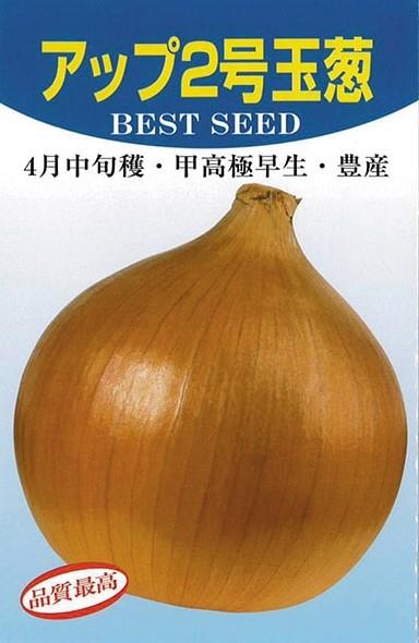 アップ2号玉葱（アカヲ種苗） | 野菜の種,根菜,タマネギ | アグリブック