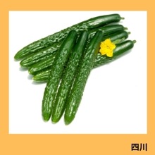 ����ʥ��ͥ����ġ�