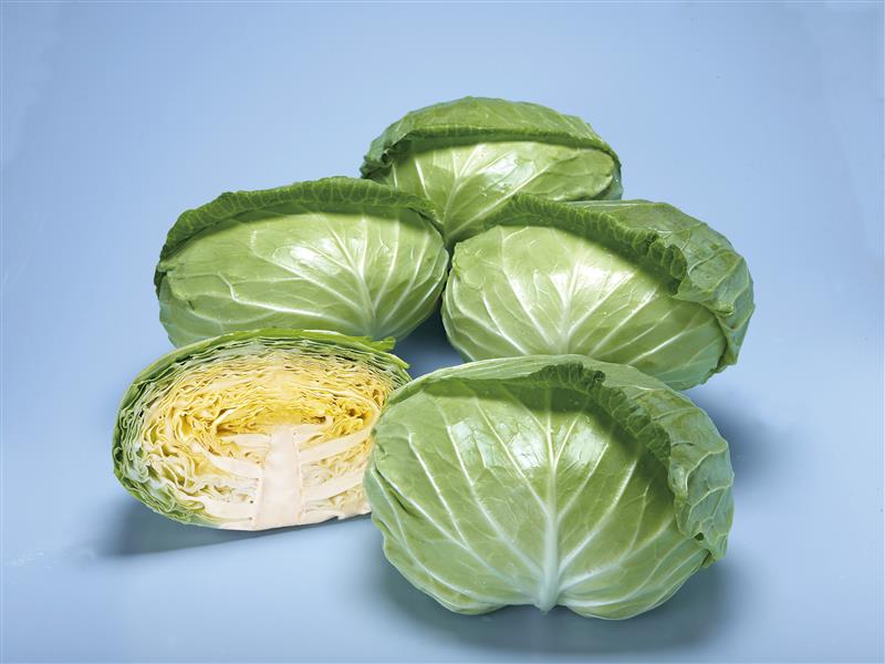 ���ɰ����ʣԣȣ٣������ˡʥȡ��ۥ��ˡ�