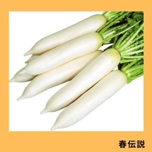 ˡ