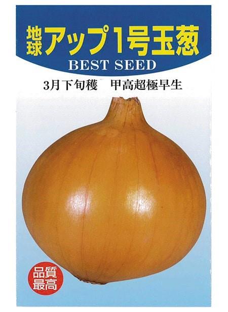 ricp*玉葱苗→プロフ見てください✤✼ 地球アップ1号玉葱（アカヲ種苗） | 野菜の種,根菜,タマネギ | アグリ