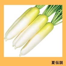 ˡ