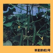 ������������ʵ�α�Ƹ���������