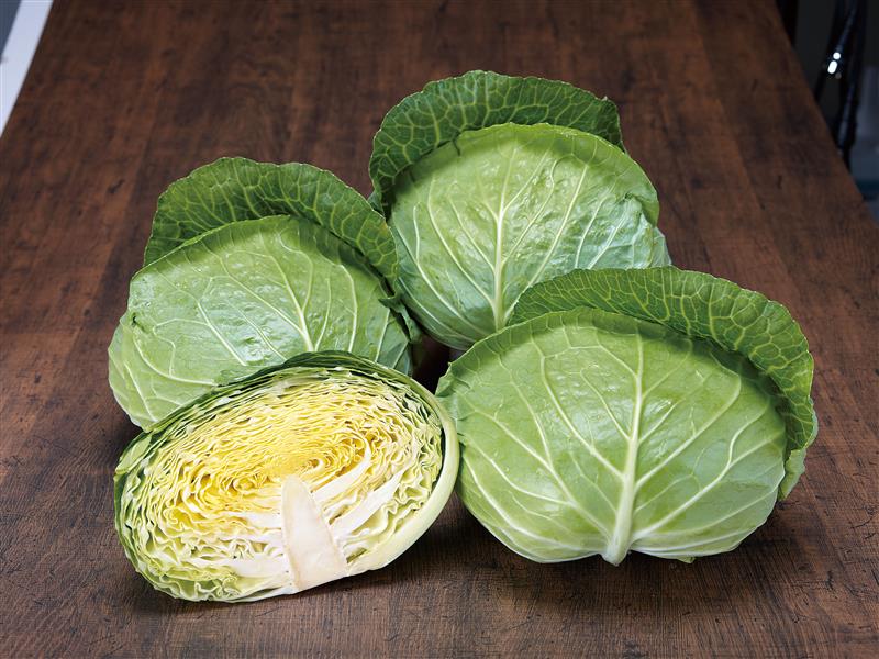 �����ʥȡ��ۥ��ˡ�